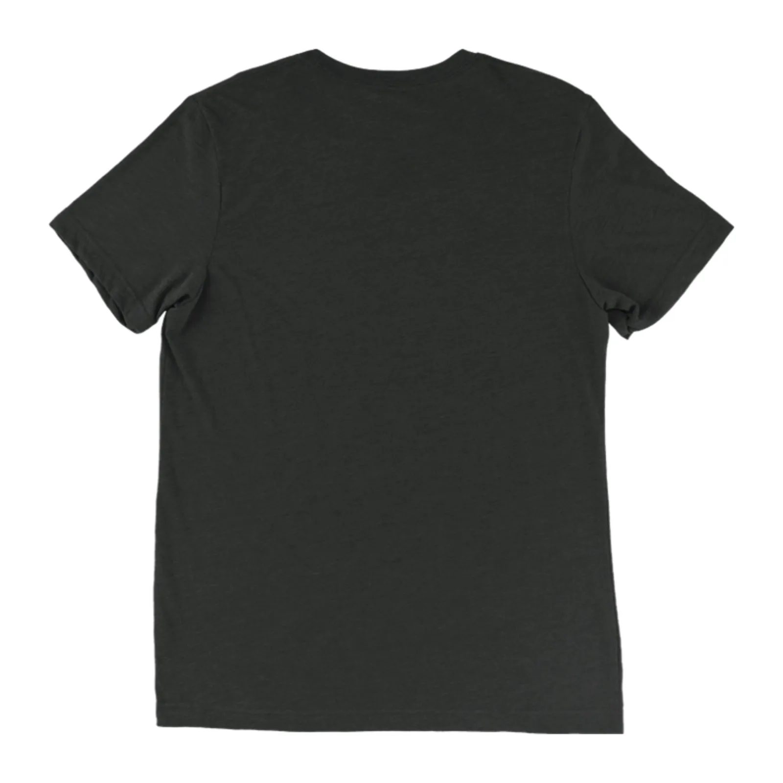 Disability Pride Skate, Triblend T-shirt
